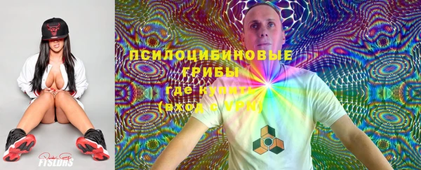 мяу мяу мука Осташков