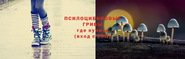 PSILOCYBIN Алзамай