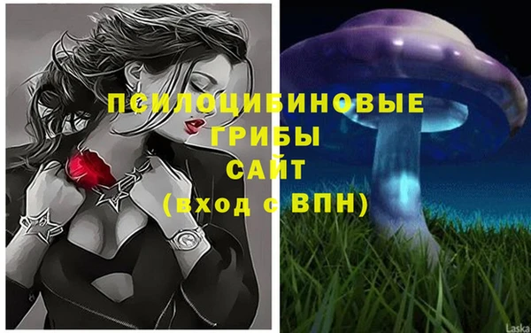 прущие грибы Алексеевка