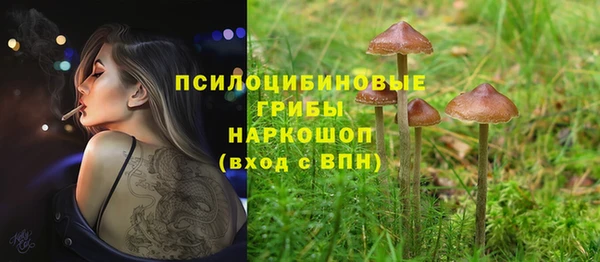 PSILOCYBIN Алзамай