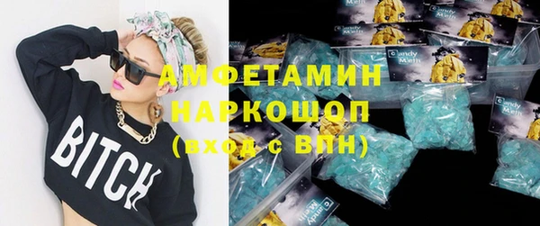 PSILOCYBIN Алзамай