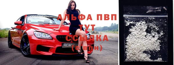 ешки Алексин